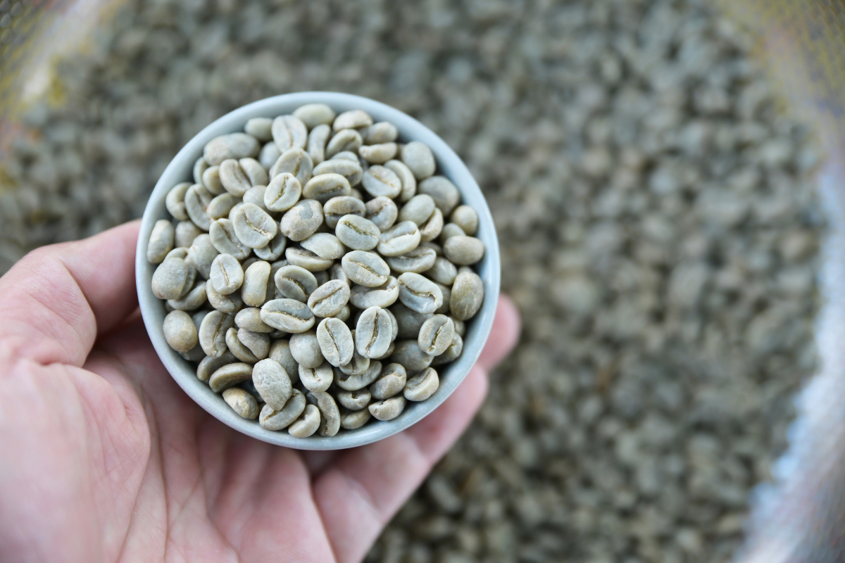 アラビカ種コーヒー豆