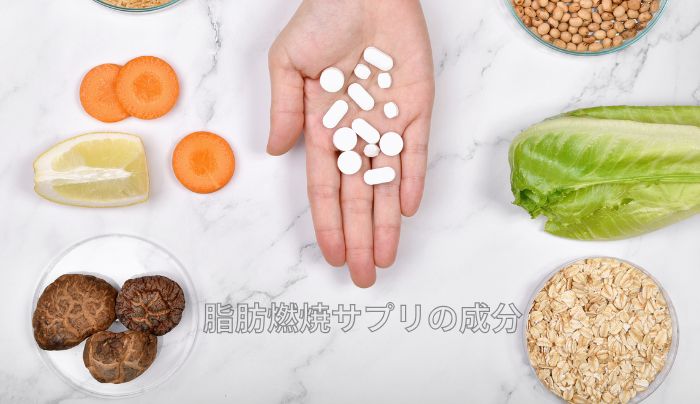 脂肪燃焼サプリの成分イメージ